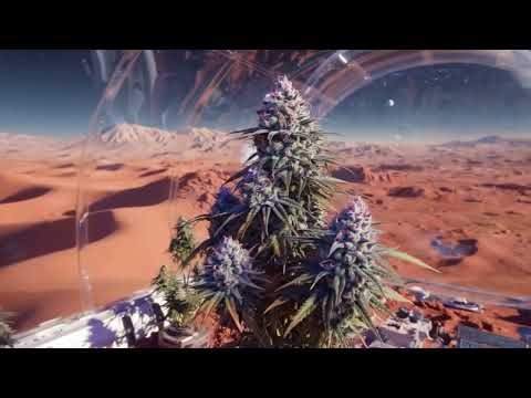 Martian Weed - EletroReggae Vibes (4:20)