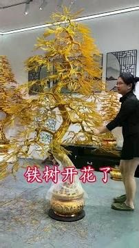 I am amazed that the iron tree bears flowers and fruit! This 17-year-old girl is amazing! #Artisans