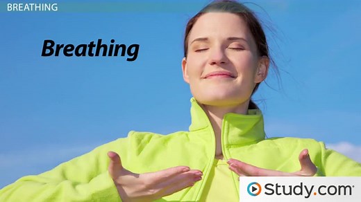 Types of Respiratory Conditions & Diseases