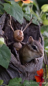 2.3M views · 161K reactions | These pictures have been in the works...