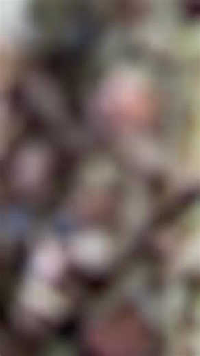 19K views · 67 reactions | Just add ! #Firminator | Ranew's Outdoor Equipment | Facebook