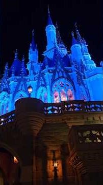 Magic Kingdom at Night Hits Different ✨.