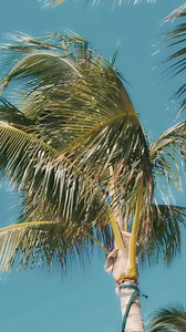 4.8K views · 179 reactions | Ever wondered if something can taste as good as it looks (and sounds)? Sail with us to The Beach Club at Bimini and find out  | Virgin Voyages | Facebook