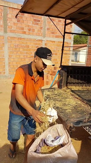 Loading Hay onto a Pickup Truck in Outdoor Setting