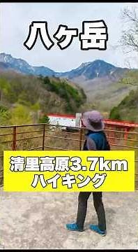 清泉寮（観光牧場）絶景テラス【八ヶ岳くっきり】清里高原3.7kmハイキング #八ヶ岳 #清里高原 #清泉寮 #東沢大橋 #東沢大橋展望台 #八ヶ岳自然ふれあいセンター #富士見高原 #山梨県 #北杜市