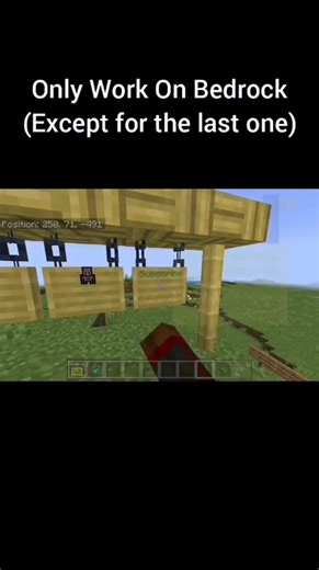 Secret Features Minecraft Sign #minecraft