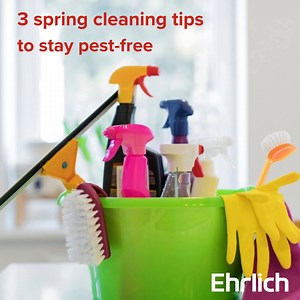 Spring is here, and it’s the perfect time to add pest prevention to your spring cleaning checklist 粒 Check out these 3 expert tips to keep your home pest-free this season! Get the rest of the tips here >> https://spklr.io/61867G8G | Ehrlich Pest Control | Facebook