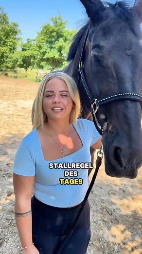 Manche brauchen Google Maps, bevor sie anfangen. 🤣 #vorne #hinten #maps #tryagain #navigation #pferdemädchen | Glenka Fredica