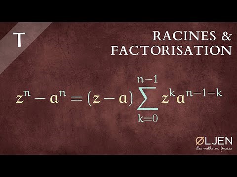 [DET#6] Racines d'un polynôme & Factorisation (Démonstration)