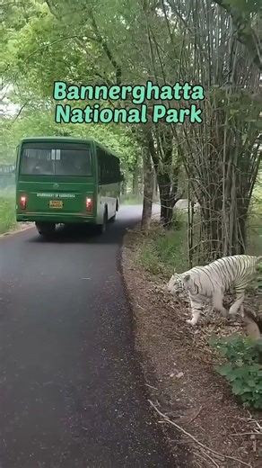 10 Tourist places to visit in Bangalore #bangalore #bengaluru #bangaloretrip #travelkarnataka