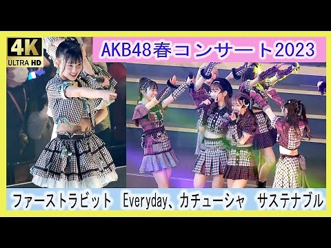 #AKB48 春コンサート2023～好きだ！と叫ぼう～ inぴあアリーナMM ファーストラビット　Everyday、カチューシャ #サステナブル #チーム8 Team8 #徳永羚海 LIVE ライブ