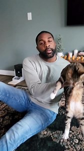 14K views · 963 reactions | 132_Bambi enjoying her kitten-free time! Fostering gets a bit slow in the winter which gives Bambi a nice break in between litters. Check our coloring book and other cat merch at abdulscats.com | Fostering kittens | Facebook