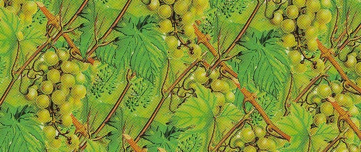 Lodi - Michael David Winery