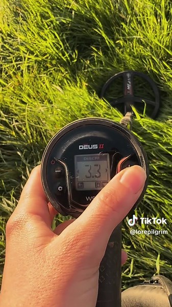 XP Deus WS6: The Perfect Starter Metal Detector