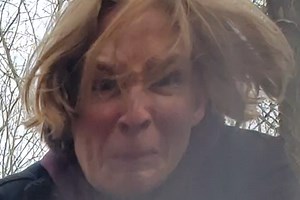 Veggie Quest (WIP) - Free Addicting Game ★★★★★