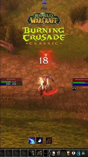 WOW TBC CLASSIC HUNTER LEVELING