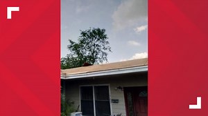 Better Business Bureau investigates Texas Premier Roofing