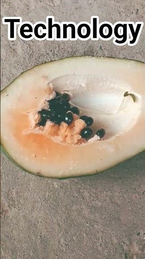 a technology #memes #funny