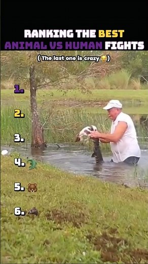 Ranking Best Animal Vs Human Fights😨