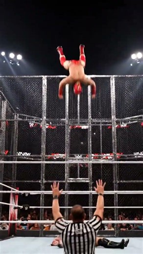 Top 50 Greatest Finishers Ever Performed in a WWE Ring #wwe #wwefans #wweevent #royalrumblematch