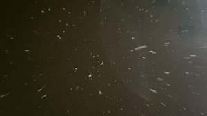 2.8K views · 45 reactions | It's the first snow of 2023 in Lynchburg! ❄️ This is right behind the ABC13 station--what do you see outside your window? Send us pics: wset.com/chimein | ABC 13 - WSET | Facebook