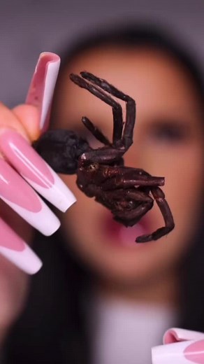 Tarantula Eating ASMR Experience