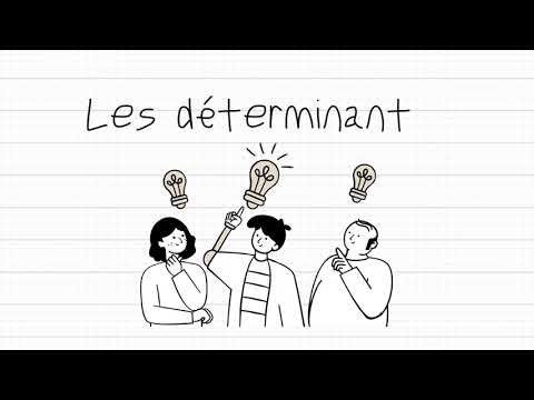 Les déterminants en français