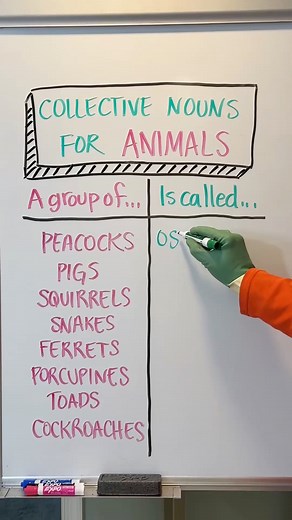 15K views | Grammar tips #reels #grammar | Lanette and Kurt | Facebook