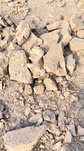 Wait for Rescue #creatorsearchinsights