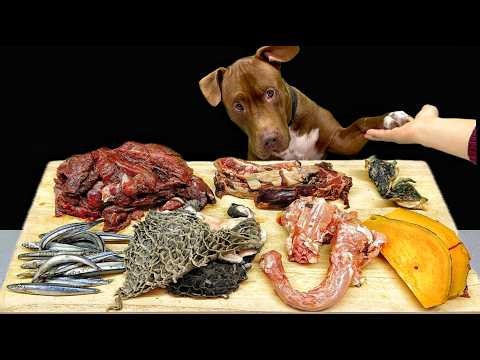 Best Dog ASMR Pitbull Eating Raw Foods