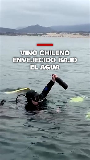 Un programa pionero en Chile envejece vino en bodegas submarinas y luego permite a los turistas buceadores recuperarlo. Los organizadores afirman que las temperaturas constantes, la presión negativa y la luz reducida crean las condiciones perfectas. | CNN en Español
