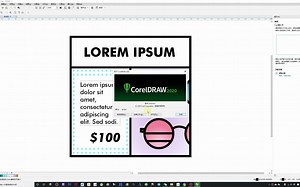 196：CorelDRAW.Graphics.Suite.2020 一款非常专业的电脑矢量绘图软件使用教程