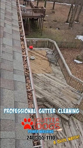 Spring Gutter Cleaning in PG County: Before/After Results #guttercleaning