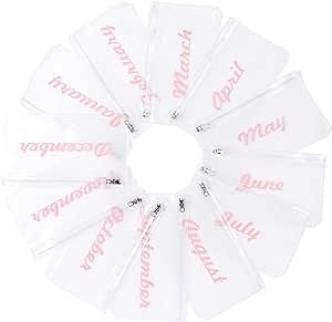 NEWEST 12 Pieces A6 Binder Inserts, 6 Holes Monthly Planner Binder Pockets, Zipper Budget Cash Envelopes for A6 6 Ring Binder