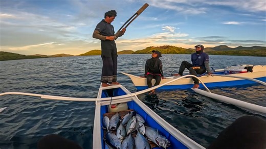 We got chased by a school of fish!