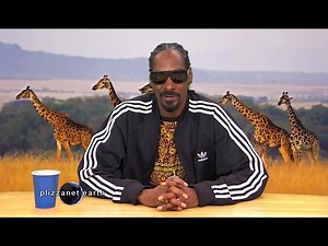 Stoned SNOOP DOGG Narrates Wild Animals | What's Trending Now