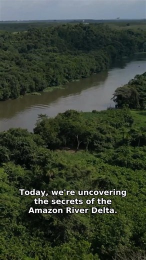Uncovering the Secrets of the Amazon River Delta