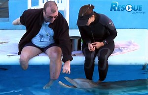 18K views | Winter the dolphin’s story of survival has inspired people from all over the world. In this episode, learn the stories of just a few of those who believe "if Winter can, I can." | Clearwater Marine Aquarium | Facebook
