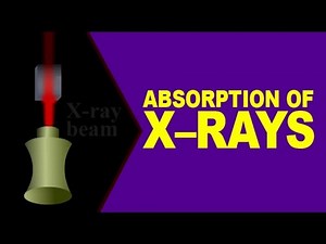 Absorption of X–rays