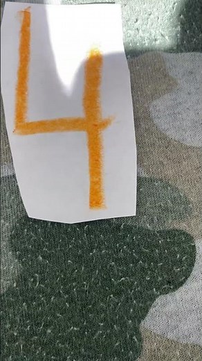 Sesame Street Donnie Budd 4 Lions 🦁