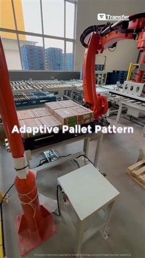 High-Flexibility Carton Depalletizing with Smart 3D Vision #machinevision #3dvision #automation