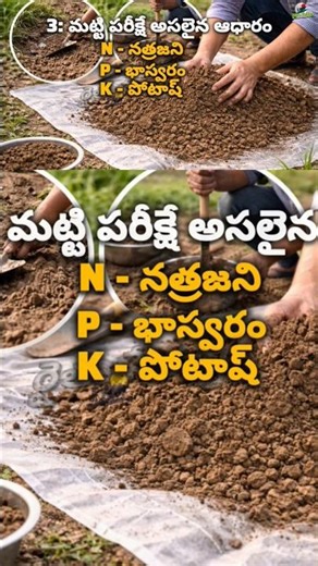 Soil testing is the real evidence 🌱 a farmer must know