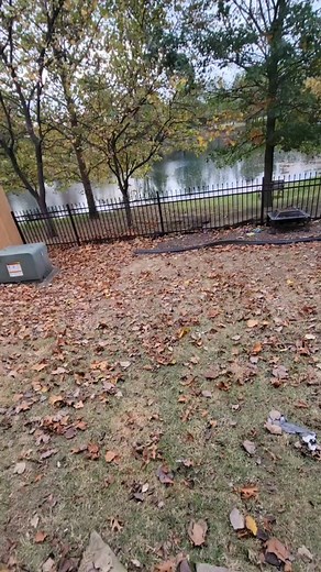 terryfarrell925 (@terryfarrell925)’s videos with original sound - terryfarrell925