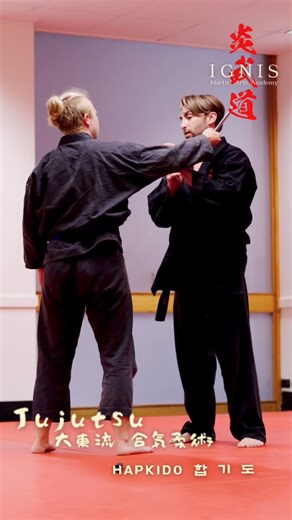1.9M views · 32K reactions | Jujutsu - hapkido classical arm lock throw. #Ignismartialarts #jujutsu #aikido #hapkido #judo #samurai #ninja #anime #lofi #martialarts #武道 #大東流合気柔術 #合気道 #柔術 #특공무술 #합기도 | IGNIS martial arts academy | Facebook