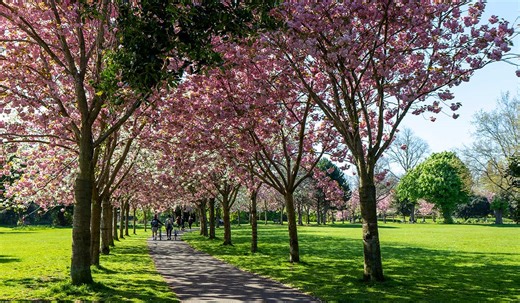 Irish weather: Temperatures to soar over 20C, but not for long