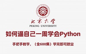 【全600集】这绝对是全B站最详细的Python教程（2024新版）无需再盲目自学啦！包括基础教程、课后练习和核心编程，一周搞定！全程干货无废话，允许白嫖！