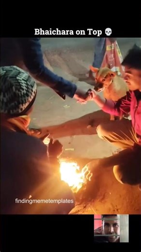 Jalwa hai Dogesh Bhai ka II Dogeshchara on top meme template #shorts #shortsvideo #viral