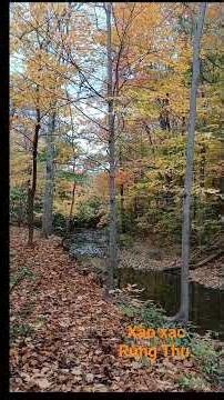 Cher : Dancing Queen.