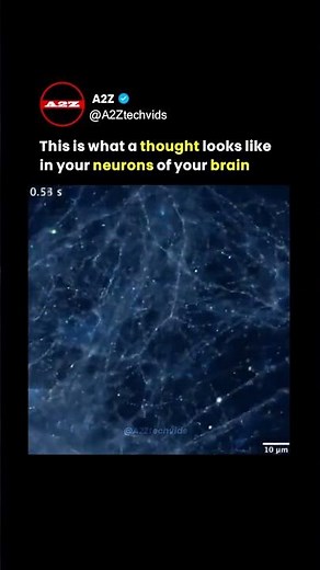 This is What a THOUGHT Looks Like in Your Brain!