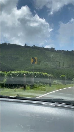 Winding through the tea-covered clouds of Munnar #munnar #kerala #roadtrip #teagardens